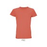 Tee-shirt Homme couleur en coton biologique "CRUSADER"