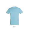 Tee-shirt manches courtes publicitaire 44 couleurs REGENT