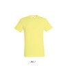 Tee-shirt manches courtes publicitaire 44 couleurs REGENT