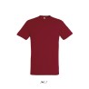Tee-shirt manches courtes publicitaire 44 couleurs REGENT