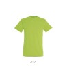 Tee-shirt manches courtes publicitaire 44 couleurs REGENT