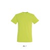 Tee-shirt manches courtes publicitaire 44 couleurs REGENT